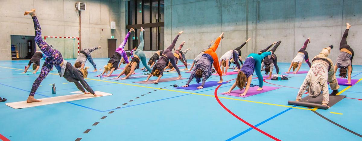Get your sportsticker as an Antwerp student