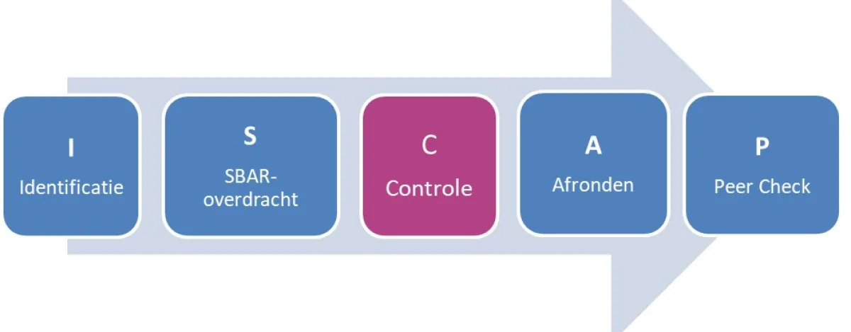 ISCAP-flowchart