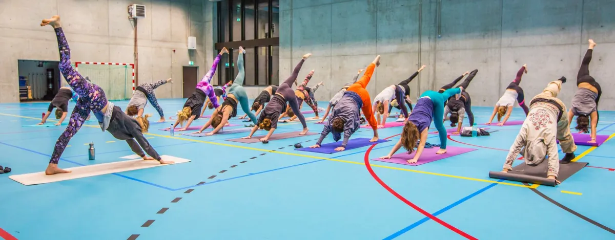 Get your sportsticker as an Antwerp student