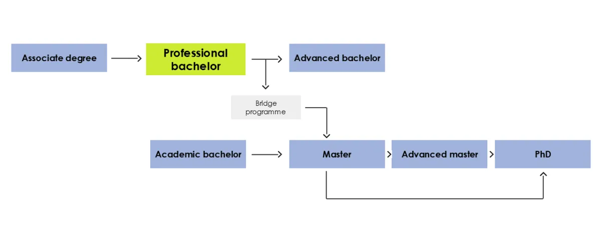Flemish Higher Education System Explained