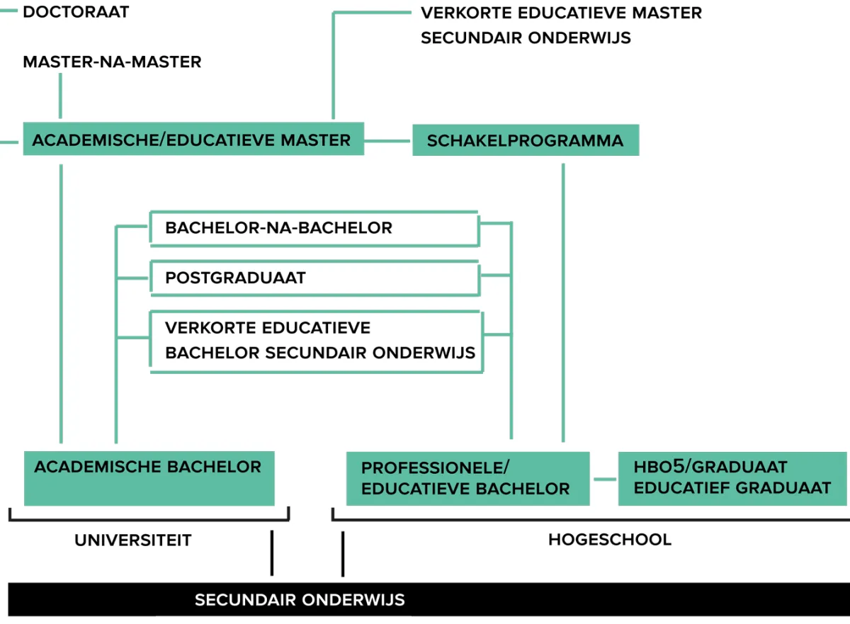 Structuur van het hoger onderwijs in Vlaanderen