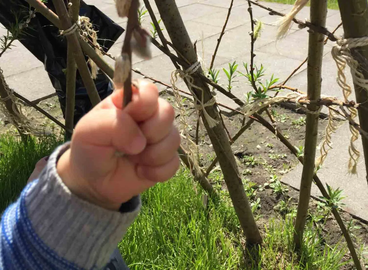 Alle kinderen naar buiten