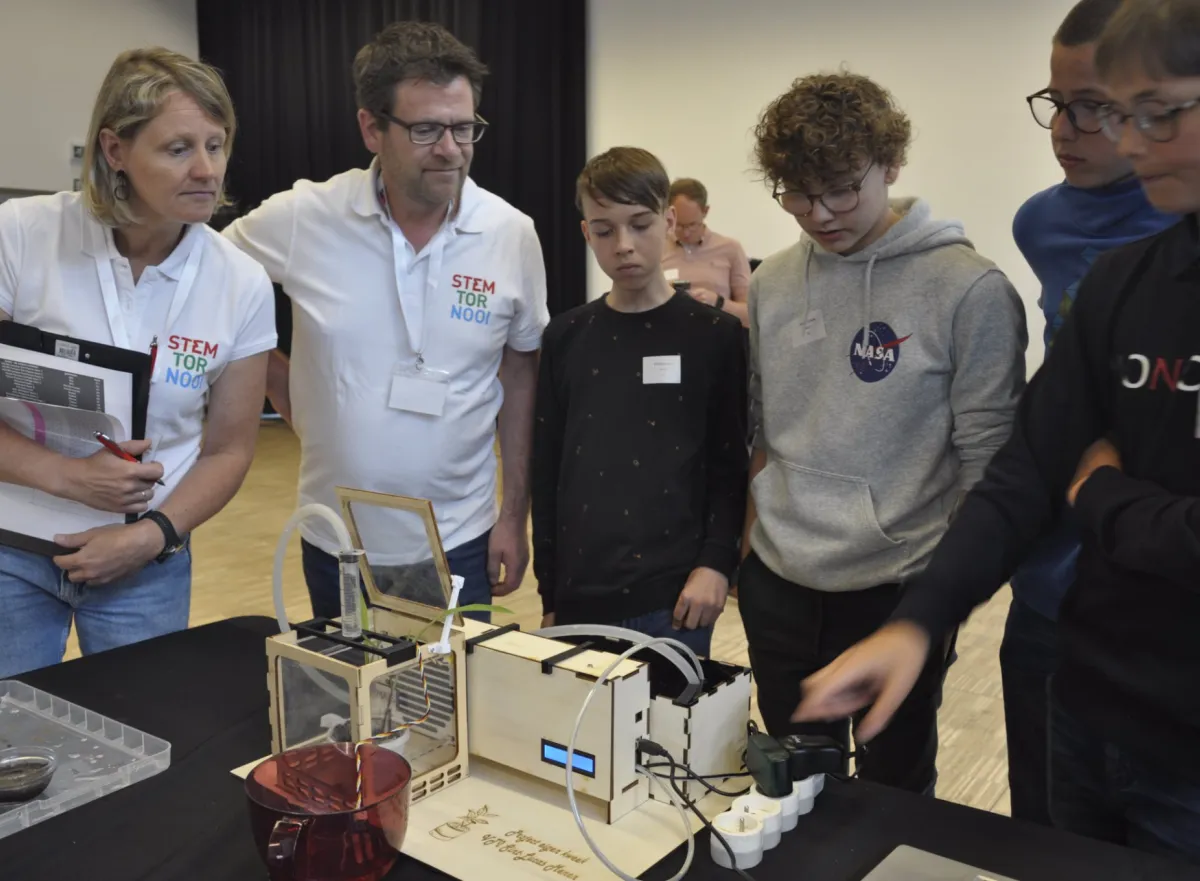 Stem tornooi