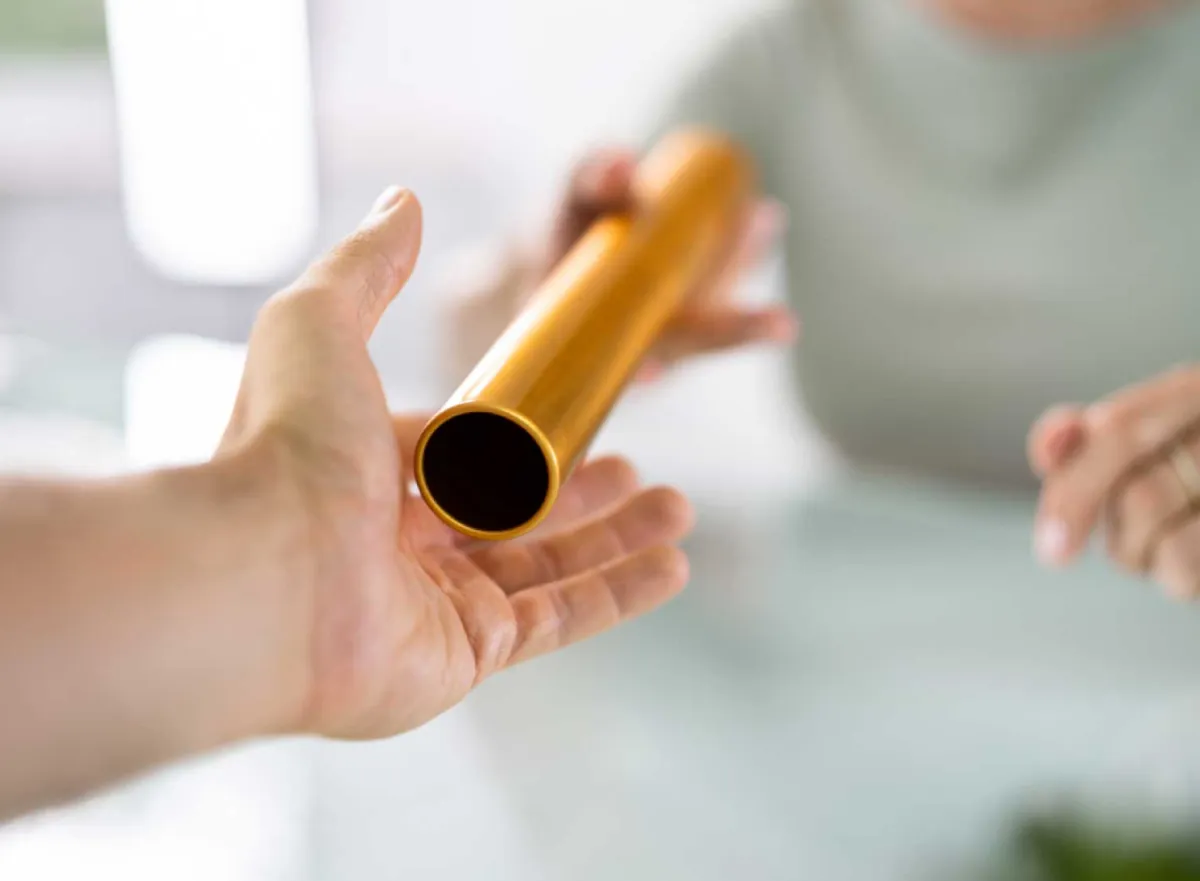 E-book leiderschapsopvolging