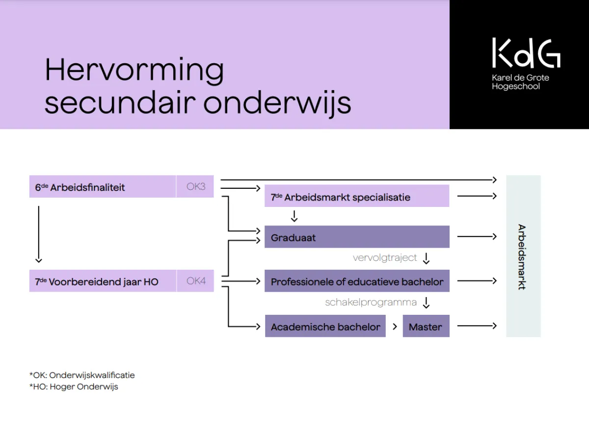 Hervorming secundair onderwijs flowchat - arbeidsfinaliteit en voorbereidend zevende jaar