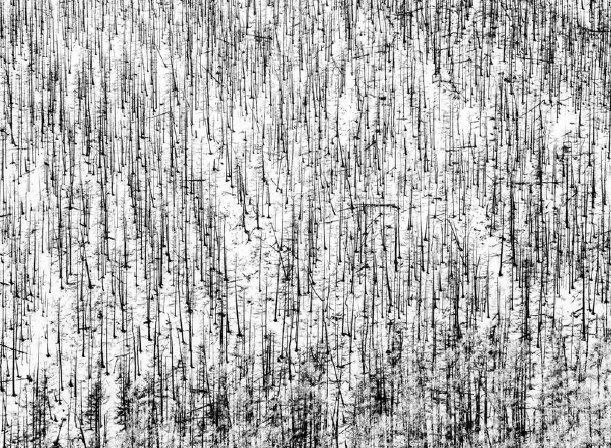 NoMa(n)d'sLand | Rob Walbers - oud-student KdG Fotografie